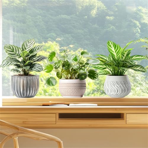 ÓdXebJ[ XebJ[ ϗtA A  hA  KX   ʈ œ\ \蒼\ ÓdCV[ CeA  XebJ[ DIY PVCf h  X܏ Hyqa227