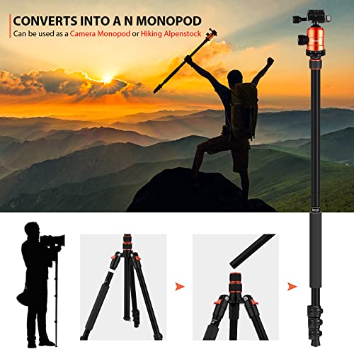 Geekoto 77'' Tripod,Geekoto 64" Camera Tripod,Aluminum Camera Tripod Monopod, Foldable Dslr Tripod For Travel, Compact Tripod With 360 Panorama Ball Head,Compact Aluminum Tripod. #TOP3