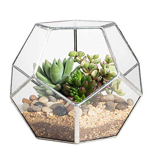 NCYP Small No Door Silver Glass Geometric...