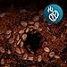 Cecotec Cafetera de Goteo Coffee 66 Grind & Drop Essential Imagen de Cecotec Cafetera de Goteo Coffee 66 Grind & Drop Essential