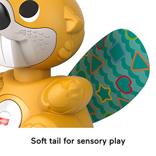 51K0vZPYeTL. SL500  - Fisher-Price Linkimals Baby & Toddler Learning Toy Boppin&rsquo; Beaver With Interactive Lights & Music For Ages 9+ Months
