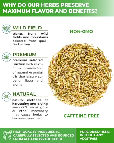 Image of 100 Bags Rosemary Tea Herbal Tea (Salvia Rosmarinus) - 100 Count 1.5g Bags Rosemary Herb Te De Romero
