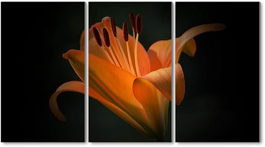 Amazon Co Jp 3枚セット アートパネル 壁掛け絵画 インテリアアート キャンバス 現代 壁飾り 部屋飾り 壁ポスター 絵画 玄関 おしゃれ モダン 壁掛け 雑貨 プレゼント ギフト アートフレーム おしゃれ オレンジ色のユリの花びら黒背景 ホーム キッチン Amazon Co Jp 3枚セット アートパネル 壁掛け絵画 インテリアアート キャンバス 現代 壁飾り 部屋飾り 壁ポスター 絵画 玄関 おしゃれ モダン 壁掛け 雑貨 プレゼント ギフト アートフレーム おしゃれ オレンジ色のユリの花びら黒背景 ホーム キッチン