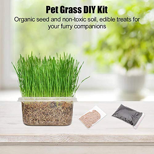 Kit de cultivo de grama de gato Bandeja de plantador de sementes Grande capacidade de cultivador de