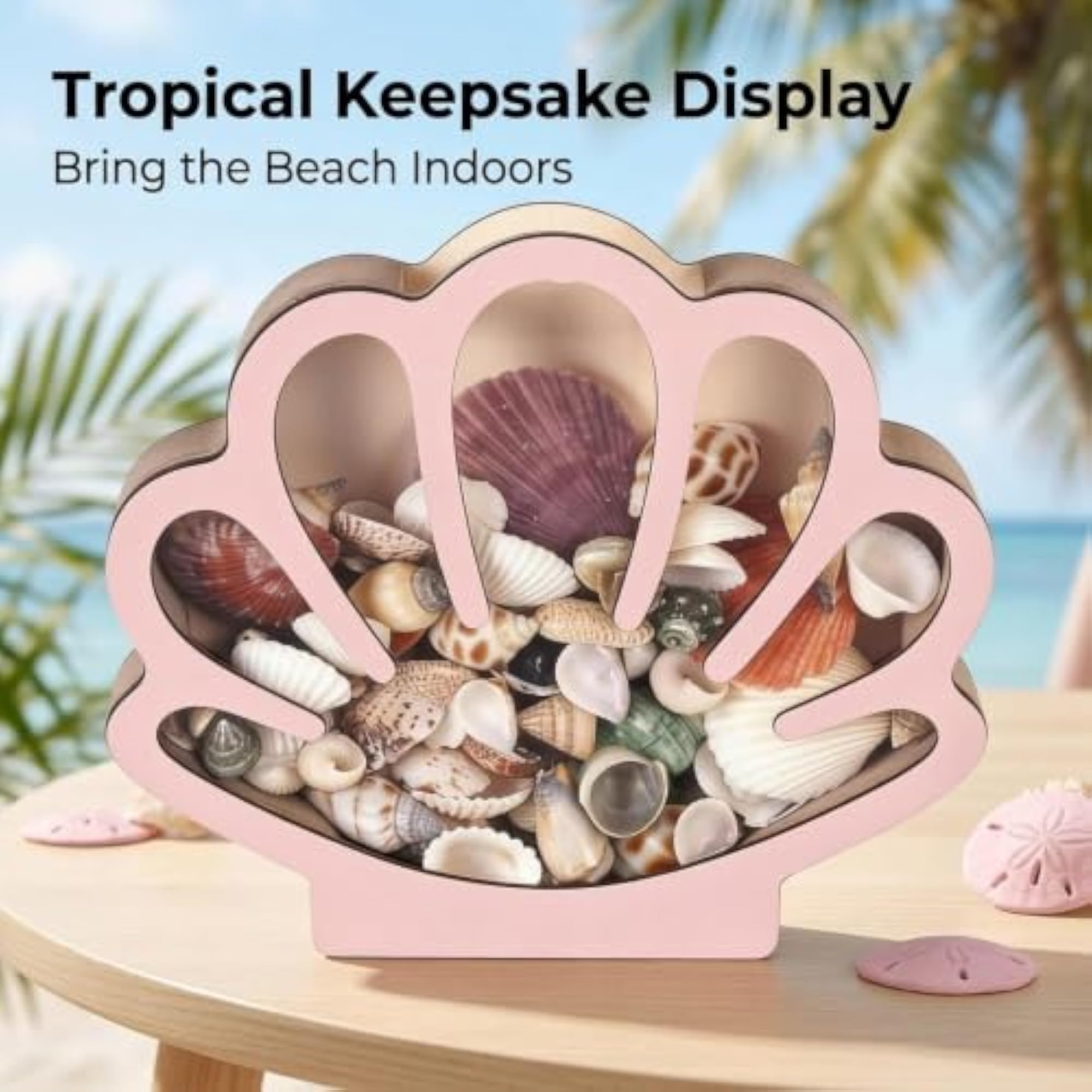 Seashell Display Box Coastal Decor Keepsake Holder