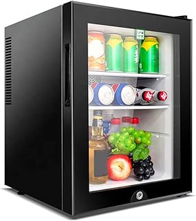 YUTGMasst Portatif Frigo Réfrigérateur Mini Congelateur,Cooler Froid Portable Icebox Petit Congélateur Convient Aux Hôtels, Bars, Maisons, Vitrines, Cosmétiques,Petit Réfrigérateur D'été,30L