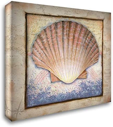 ArtDirect Shell 15x15 Gallery Wrapped Canvas Museum Art by Wargo, Ed