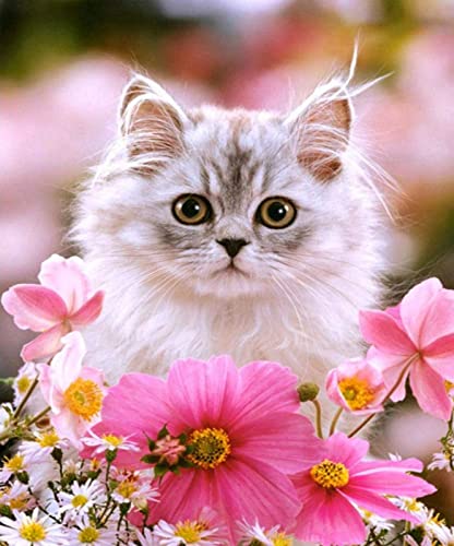 Kit de broderie au point de croix chat 11CT en tissu pré-imprimé 40x50cm pour débutant