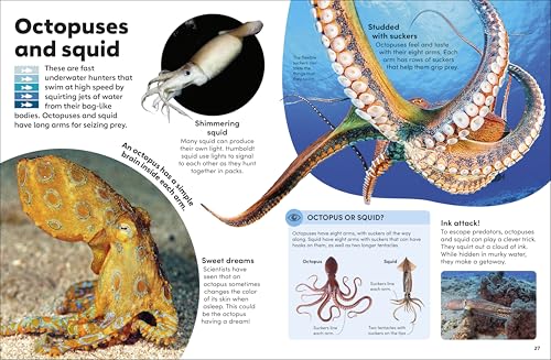 Eyewonder Oceans: Open Your Eyes to a World of Discovery - Image 4