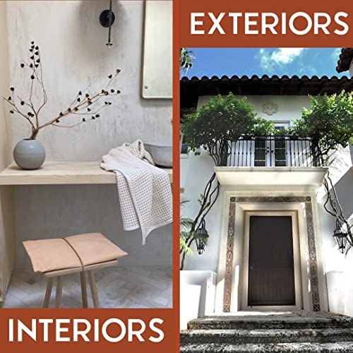 Vasari Lime Plaster & Paint | Marmorino Plaster (Fine Sand Finish) | Made From Natural Lime And Powdered Marble | Color: Natural White #1 | Size: 38 Lbs Dry Mix Bag (Makes 5 Gallons Of Plaster) #TOP1