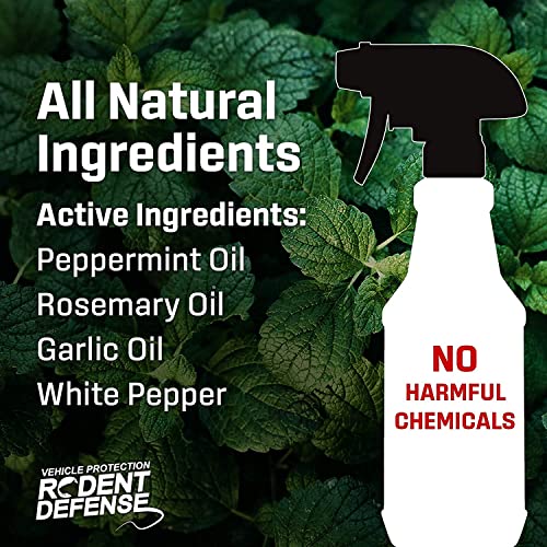 Exterminators Choice – Rodent Defense Spray for Cars and Trucks – Non-Toxic Deterrent for Pest Control – Repels Mice and Rats – Vehicle Protection – Safe for Kids and Pets (32 Ounce)… Exterminators Choice – Rodent Defense Spray for Cars and Trucks – Non-Toxic Deterrent for Pest Control – Repels Mice and Rats – Vehicle Protection – Safe for Kids and Pets (32 Ounce)…
