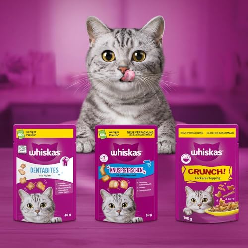 WHISKAS Crunch Katzensnacks Huhn, Pute & Ente 6 x 100g – Leckere Snacks mit Huhn, Pute und Ente