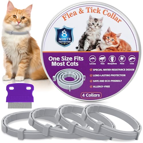Collar for Cats (Purple, 20')