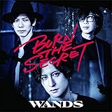 「BURN THE SECRET」初回限定盤 (CD+DVD)