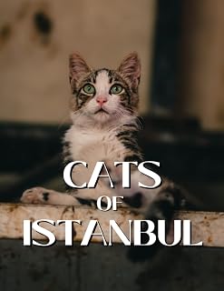 Cats of Istanbul: Coffee Table Picture Book