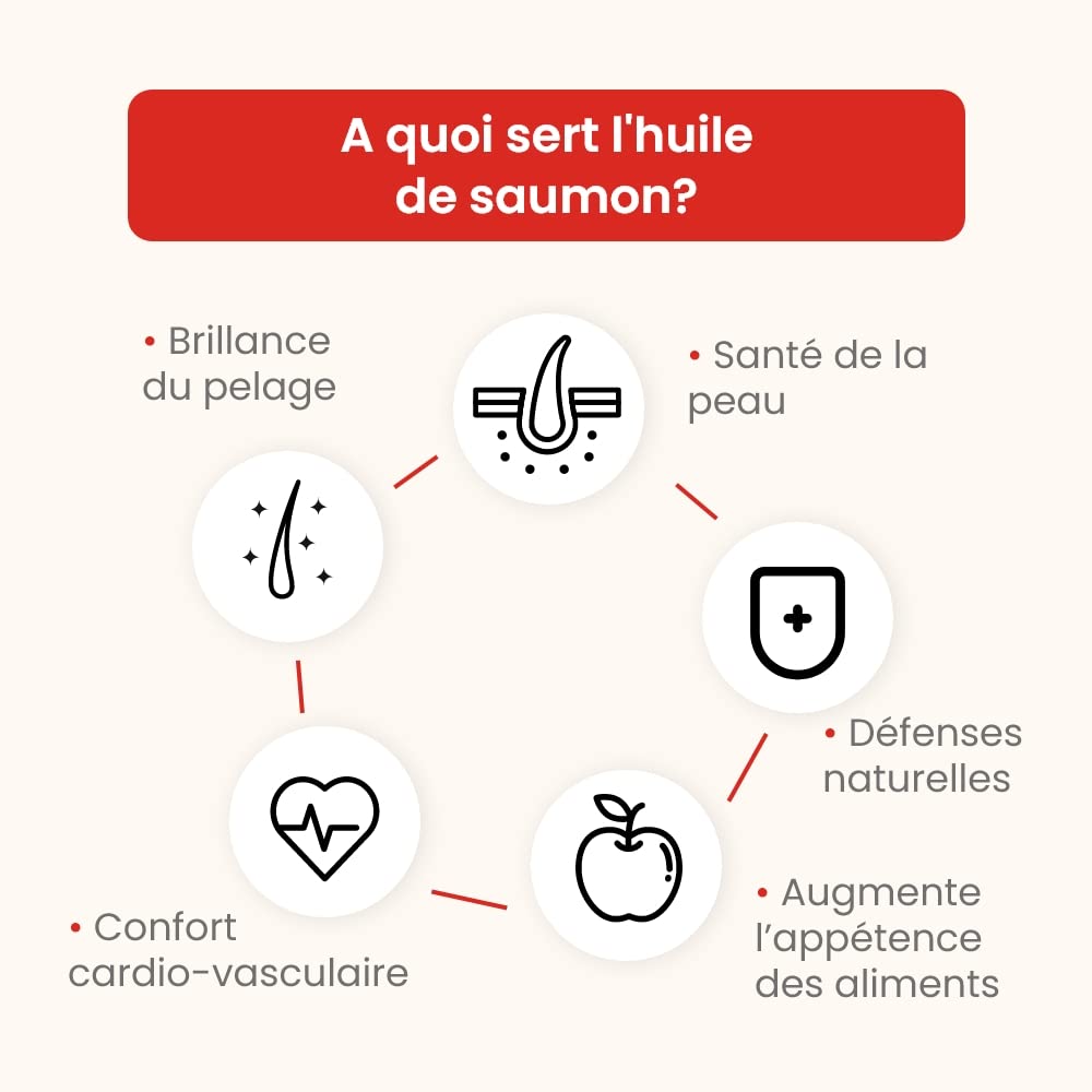 Huile DE Saumon 5 L - pour Chiens et Chats - Source d'Oméga 3 - Beauté du Pelage - Brillance des Poils - Santé de la Peau - Confort Cardio-vasculaire - Développé en France