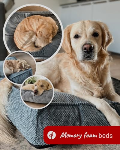 Flamingo Orthopädisches Hundebett Baldar – Rechteckig, Beige, 80 cm | Ergonomischer & Bequemer Schlafplatz für Hunde!