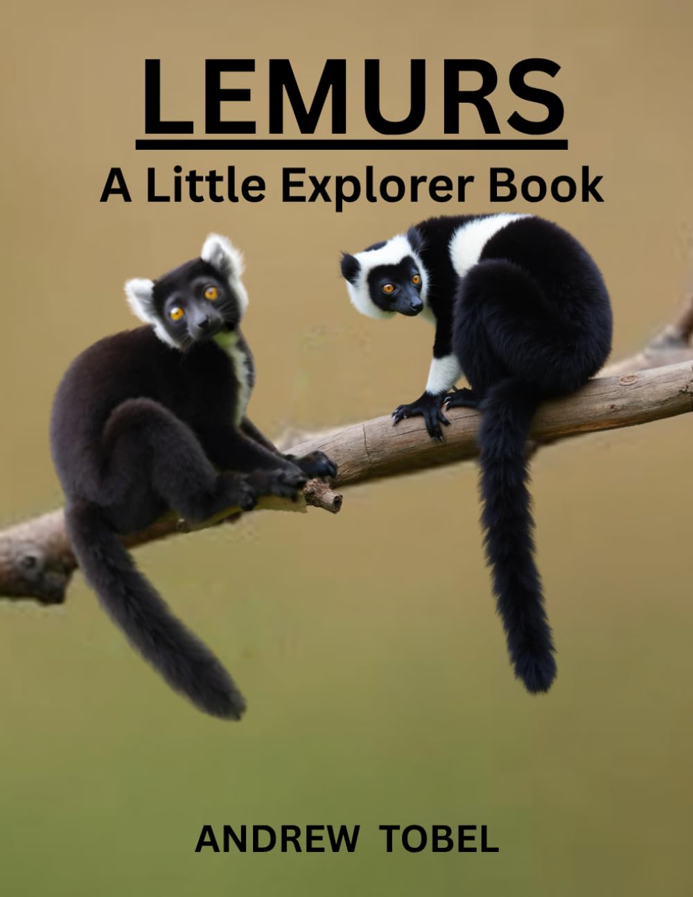 LEMURS (LITTLE EXPLORER BOOKS)