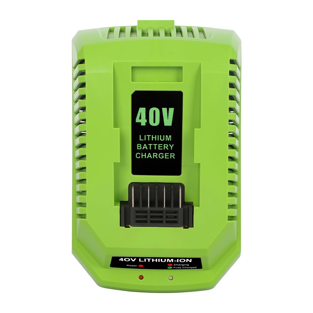 Chargeur de batterie de rechange 40 V 2 A compatible avec Greenworks 40 V Batterie lithium-ion 29482 29962 29472 290139 299302 BAF702 L-300 BAF704 BAF705 G-MAX Power Tools 29252 20202 2222 62 kg