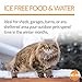 K&H Pet Products Outdoor Heated Cat Food & Water Bowls for Outside Pets, Thermo-Kitty Café Feral Cat Feeding Station, No Frozen Water or Food, Washable Bowls, Safety Listed - 12oz/24oz Stainless