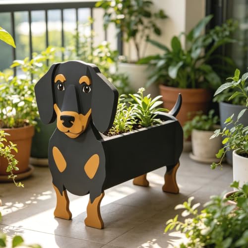 Pot de fleurs teckel contre l'excès d'eau des plantes en petit appartement
