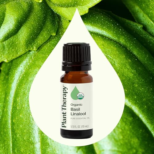 Aceite esencial de albahaca linalol orgánico USDA 10 mL miniatura 3