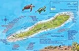 Cayman Brac Island Dive Map & Reef Creatures Waterproof Fish Card