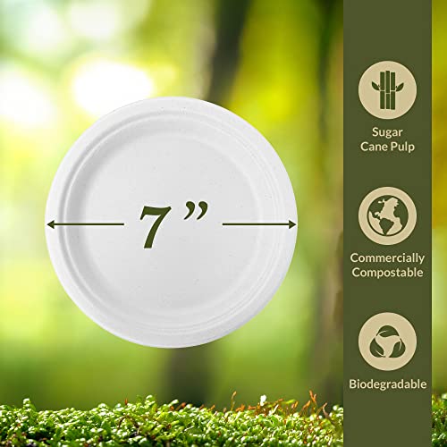 Image of Reli. Compostable Paper Plates 7 inch (250 Pack Bulk) | White Disposable Plates | Heavy Duty Paper Eco Friendly | Made of Sugarcane Fibers /Bagasse - Biodegradable /Compostable | Small