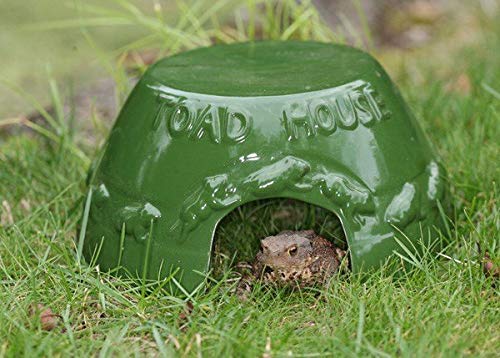 Fallen Fruits Toad House