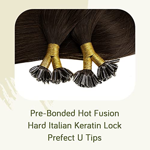 RUNATURE Pre Bonded Hair Extensions Real Human Hair Dark Brown U Tip Hair Extensions Human Hair Brown U Tip Extensions 12 Inch 40g 50 Strands - Image 3