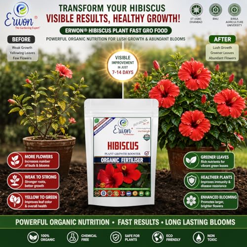 Image of Erwon Hibiscus Plant Growth Booster, Premium Essential Powerful Organic Fertilizer For Overall Growth Of Hibiscus Plants, With Charged Micro-Organism And ++ Micronutrients. (5 Kg), Powder