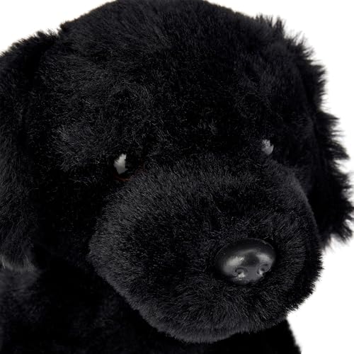 Zappi Co Buddy Schwarzer Labrador Plüschhund 20 cm, weiches Kuscheltier – Ansicht 6