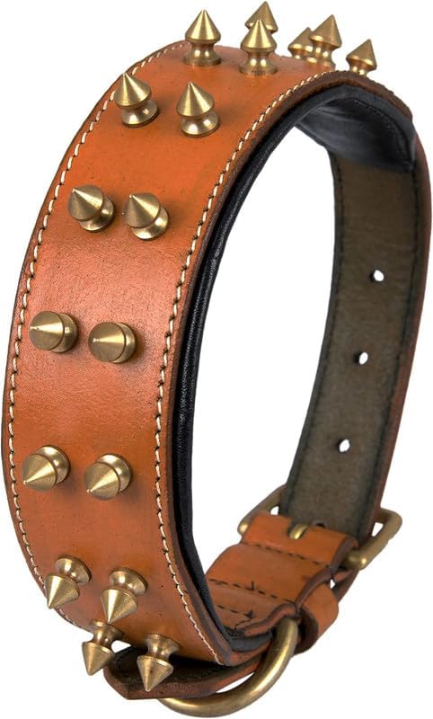 Dog Trust Dog Collar, 2 inches Wide Heavy Duty Genuine Leather Collars, Handmade, Soft, and Luxury, Eye-catching Best Choice for Large and Medium Breed Dogs 22.5-26.5 inches (B0CNZ8RCXS) Amazon Price History, Amazon Price Tracker