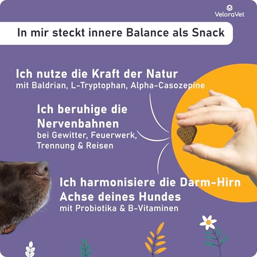 VeloraVet Beruhigungsmittel für Hunde mit Baldrian, Kamille - Natürliche Beruhigung & Seelenruhe als leckerer Snack für deinen Hund - Ideal bei Angst, Stress, Silvester, Autofahren - 70 Stück
