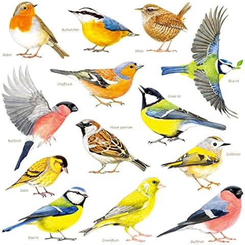 DECOWALL DS-8043 13 Garden Birds Wall Stickers Watercolor Flying Little Bird Decals for Bedroom Living Room Nursery Art Home Décor Decoration Removable Cover