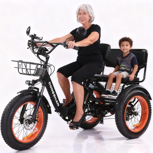 Electric Tricycle for Adults20x4.0 Fat Tire 750W Motor Folding Electric Trike 48V 15Ah 3 Wheel Ebike Aluminum Adult Tricycle with Removable Battery 7-Speed Womens Tricycle (Tricycle with seat)