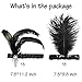 WATINC 6pcs Black 1920s Feather Headband Set, Vintage Costume Accessory for Women, Great Gatsby Themed Party