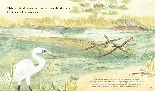 Find Out About Animal Tools - Image 3