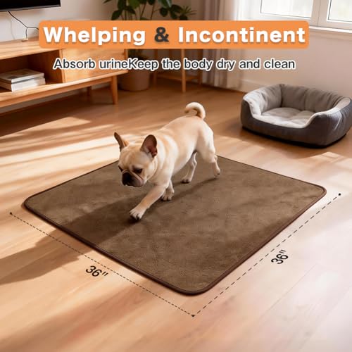 Image of Washable Pee Pads for Dogs, Extra Large Reusable Dog Pee Pad, Waterproof Pet Mat, Dog Playpen Mats for Puppy Training Whelping Playpen Pads, Brown, 36x36 inch