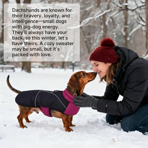 Veste pour chien imperméable réglable反光防寒保护 M码 - 8