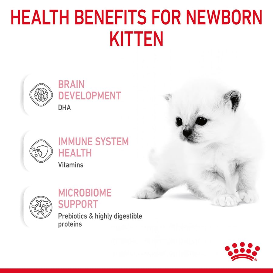 Royal Canin Babycat Milk | 300 g | Milchaustausch-Futtermittel für Katzenwelpen | Von der Geburt bis zur Entwöhnung (0-2 Monate)| Für ein harmonisches Wachstum