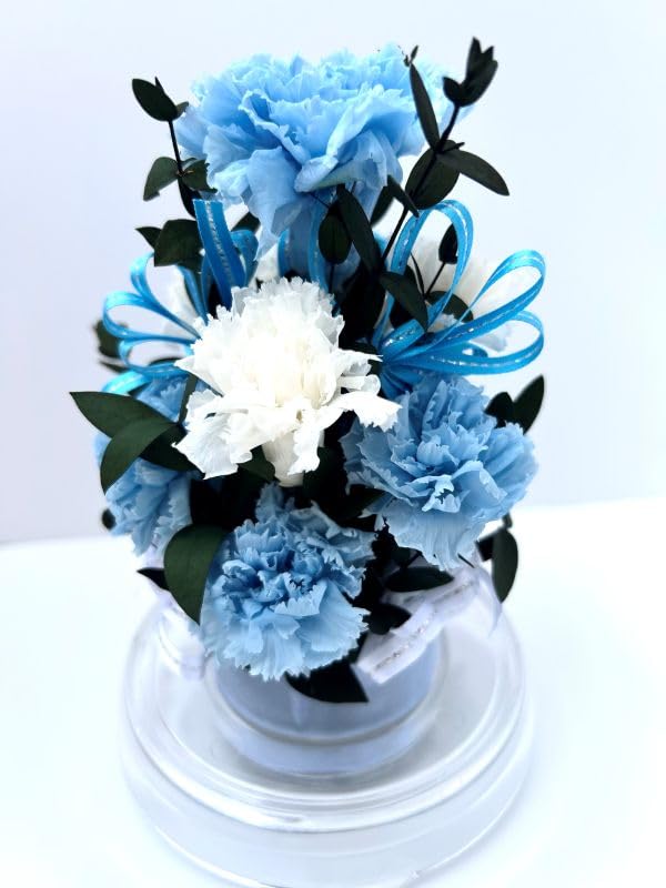 Amazon｜母の日 誕生日 カーネーション 幸せの象徴 永遠の幸福