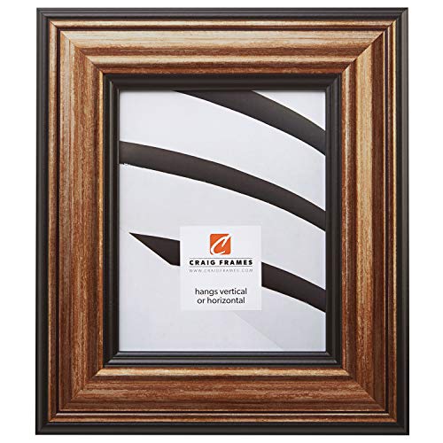 Fatal Frame 3 Costumes Gameshark - Craig Frames Sonora, Aged Copper and Black Picture Frame, 20 by