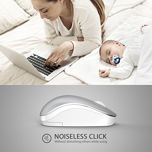 Seenda Wireless Mouse, 2.4G Noiseless Mouse With Usb Receiver Portable Computer Mice For Pc, Tablet, Laptop And Windows/Mac/Linux (White & Silver) #TOP1