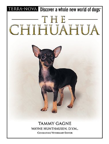 The Chihuahua (The Terra Nova Series)