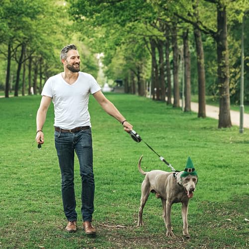 Sombrero Disfraz Halloween para Perros Pequeños miniatura 6