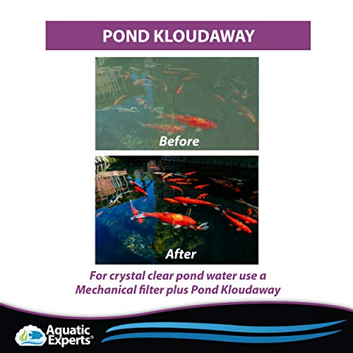 Aquatic Experts KloudAway Freshwater Pond Water Clarifier - Clears Cloudy Water, Water Clarifier for Fish Pond, Made in USA (500 ml - Treats 5,000 Gallons) - Thumbnail 3