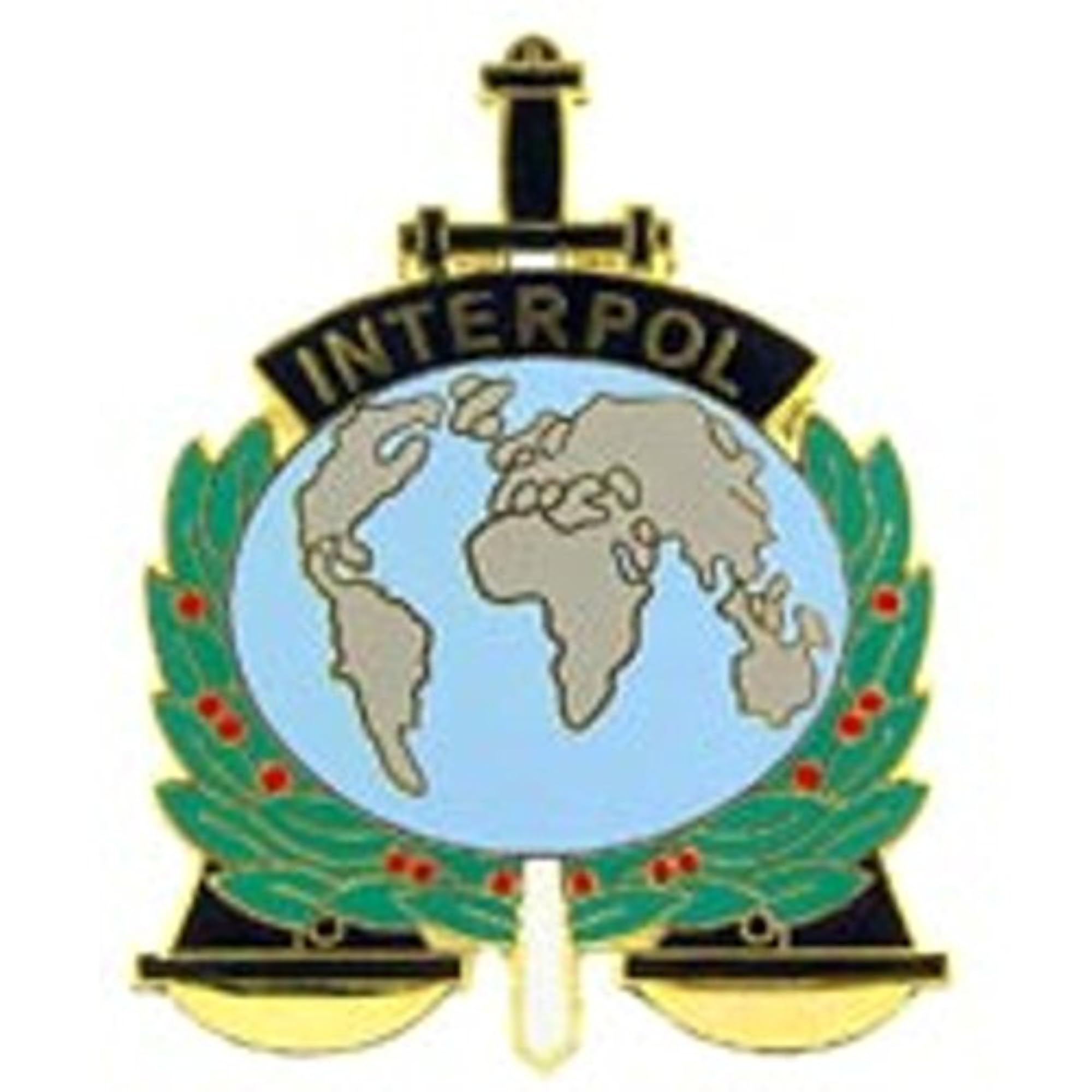 Interpol Multi-Colored Enamel Lapel Pin, 1.5"