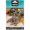 Batlle Kräutersamen – Lavendel Officinalis (Samen – 40cm)