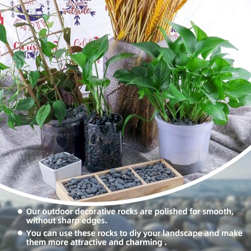 Image of 45lb River Rocks Pebbles for Plants & Succulents, Decorative Outdoor Landscaping Garden Rocks, Natural Small Mexican Beach Pebbles Aquarium Rocks Gravel for Fish Tanks Vase Yard Decor